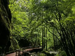 -牛背梁国家森林公园