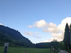 -武陵山森林公园