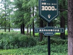 -昆山城市生态森林公园