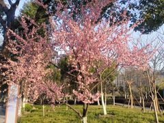 -天鹅湖体育公园