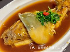 东坡河豚-肆月河豚·新淮扬(金融街店)