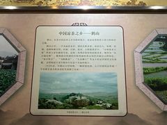 -广州神农草堂中医药博物馆