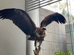 -昆明动物博物馆