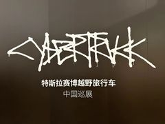 -TESLA 特斯拉(郑州正弘城体验店)