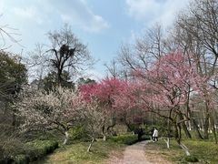 -杭州植物园