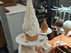 -野人先生Gelato(上海长宁龙之梦店)