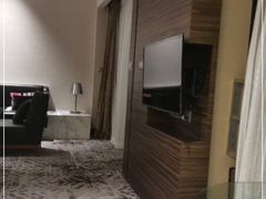 -上海虹桥西郊假日酒店