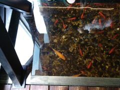 -颐和•海鲜砂锅粥•啫啫煲(奥林匹克广场店)
