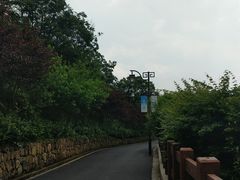 -杭州半山国家森林公园