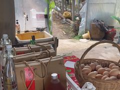 -马陆小张葡萄园农家乐