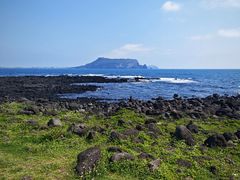 -涉地可支
