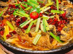 -老板恋上鱼(高新万达店)