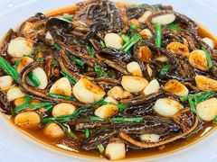 -丁老爷子苏香圆