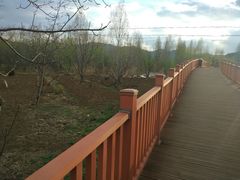 -泸沽湖国家级风景名胜区走婚桥