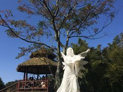 -广州市石门国家森林公园