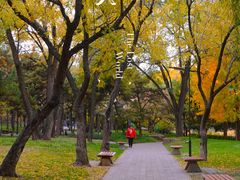 -元大都城垣遗址公园