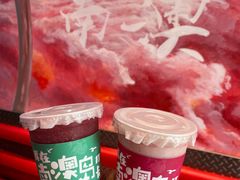 -南澳岛打卡果汁冰公司