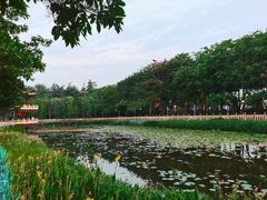 -福神岗公园