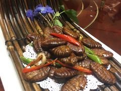 干煸蚕蛹-蠔友汇(皇姑店)