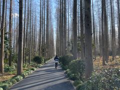-上海怡沁园度假酒店