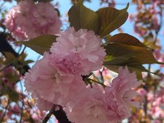 -苏州河梦清园环保主题公园