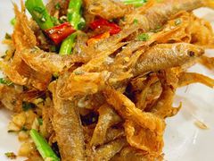 -品雅轩农家乐
