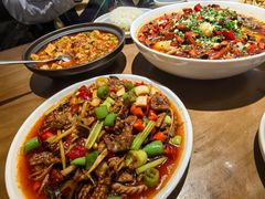 -向川南·水煮鱼·川菜(和平里店)