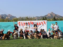 -趣玩宠物乐园寄养训犬训狗游泳池