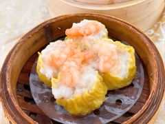 -宝塘茶楼