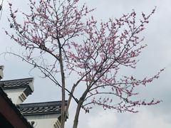 -堤角公园