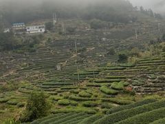 -大桶水·全国旗舰店(体育路店)