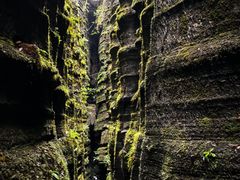 -梭布垭石林景区