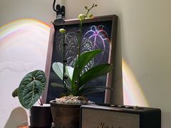 -本無咖啡·BeanWood Coffee