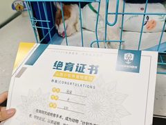 -小伙伴宠物医院•急重症转诊中心·老年专科·犬猫全科(北大街总院)