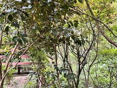 -杭州半山国家森林公园