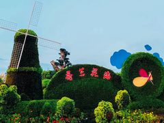 -荷兰花海