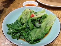 -缸鸭狗(天一广场店)