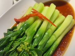 -席家花园(巨鹿花园店)