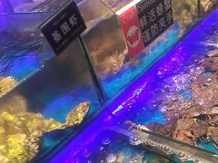 -SEA西雅图海鲜自助餐厅(海乐世界店)