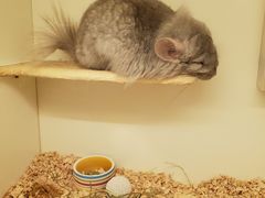 -龙猫仔乐园(惠福东路店)