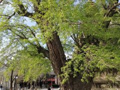 -北京石刻艺术博物馆(五塔寺)