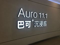 -金逸影城(荟聚IMAX激光店)