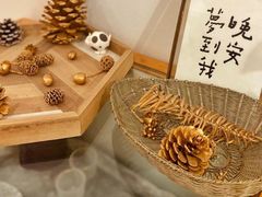 -猫里有甜