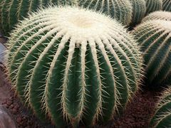 -南通洲际绿博园