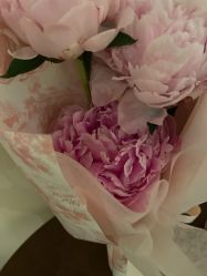 -尊尚柏丽美容SPA