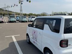 -摩天岭风景区