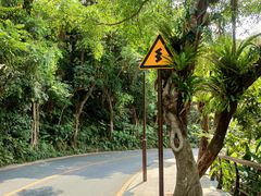 -深圳仙湖植物园