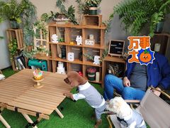 -百好乐宠物友好餐厅(朝外大街店)