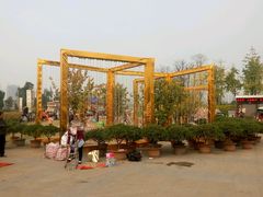 -秀丽东方