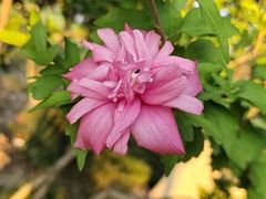 -星美国际影商城(黄龙店)